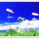 행복한동행 이미지