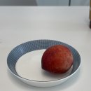 안동 신비복숭아 구매후기! 와룡 도연치유농장 🍑 맛잇어서 농장찾아가서 구매 !!