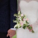 호텔 마에스트로 이미지