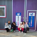 도그스토리 | 겨울 봉사활동 유기견보호소 도그스토리레스큐 봉사 후기