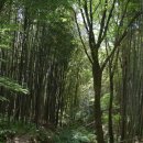 담양오방길5코스(누정길) 이미지