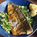 썬소일 | 다시 새내기가 된.. 3월 기록(1/2)