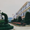 매포초등학교, 매포초교(병설유치원) 이미지