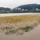 노동상리 이미지