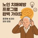 비대면(언택트)노인상담과 치매예방과정 활동 | 노인 치매예방 프로그램 완벽 가이드: 종류별 효과와 참여 방법