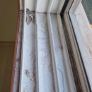 먼지.zip | 입주청소 꿀팁 모음 zip