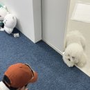 하이투유스튜디오