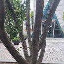 백산기념관 티스토리