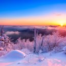 현충탑 소공원 | 2월에 가볼만한 국내여행지, 마지막 겨울여행 명소 5 - 2월 국내 가볼만한곳, 국내 겨울 여행, 국내...