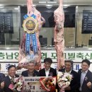 대전충남양돈농협 포크빌축산물공판장 이미지