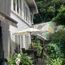 서울근교 여행추천 / 용인 이색 사찰 와우정사 / 입장료 주차장 무료 / 엉클드파리