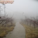 하늘농장3 이미지