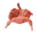 멍멍푸드 이미지