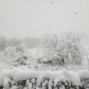 탑스크린골프 아카데미 이미지