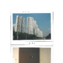 산호대로-1 이미지