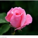 서귀포성결교회 이미지