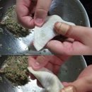 만두커뮤니티