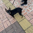 명문학원 이미지