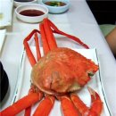 돌고래회수산 이미지