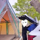 경남캠핑장 지리산 자양보오토캠핑장 사이트 추천
