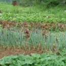 내덕농장 이미지