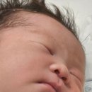 야탑로65번길 이미지