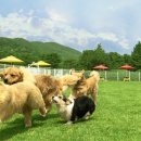 강화웰빙cc리조트 이미지