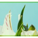 선릉쉼표정신건강의학과의원 이미지