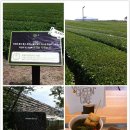 오설록+이니스프리 다녀왔어요 ^^ 이미지