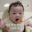 야채랑과일이랑 | 아기 간식 추천｜루솔 순수퐁당 과일야채 퓨레 솔직 후기
