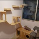 캣츠호텔 이미지