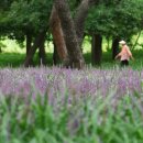 황성공원 시민운동장 이미지