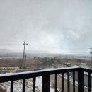 웅도동편민박 이미지