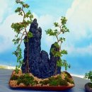 무괴아심 이미지