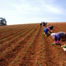 해남군농업기술센터 이미지