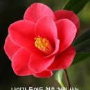 천년지기 - 평택시 | 천년지기