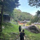 무릉계곡 진입로 | 무더운 한여름에, 하늘문따라 승천할 뻔한 두타산 계곡산행 마지막이야기