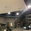 크로스핏킹콩 이미지