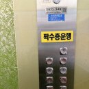 [야간]라인댄스(초급) | [오창 운동] 딜라이트 폴댄스 오창점