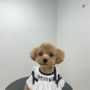 개린이살롱 이미지