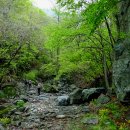 개인약수 이미지