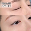 PH 메디칼 | 목동 속눈썹펌 잘하는 곳 다녀왔어요! 짧은 속눈썹도 대변신 루띠브 내돈내산 후기