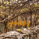 도립리 육괴정 이미지