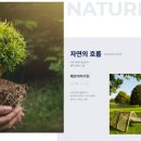 능내그린공원 이미지