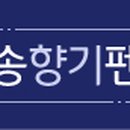 해송향기펜션 이미지