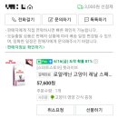 압구정 동물의료센터 이미지