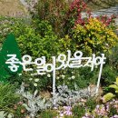 태창오리
