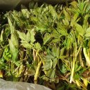 아재밥상 이미지