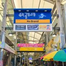 쁠레노케이크 | 강원도 삼척 중앙시장 먹거리 부영 닭강정 바다회활어 회 포장
