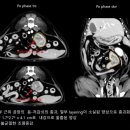 이레외과동물병원 이미지